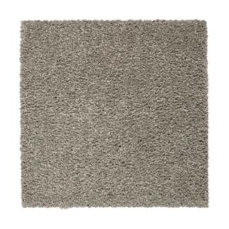 Mohawk Pleasant Touch Urban Putty