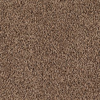 Mohawk Casa Bella Spicy Hue