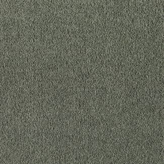 Mohawk Indescribable Moss Tint