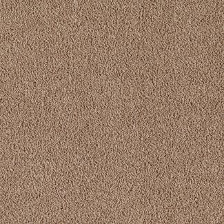 Mohawk Indescribable Warm Neutral