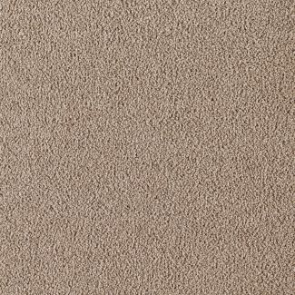 Mohawk Indescribable Swanky Silk