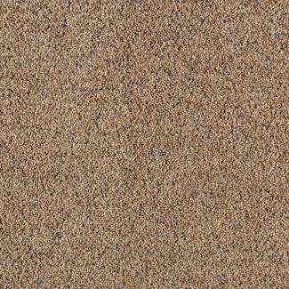 Mohawk Unprecedented Spiced Cider