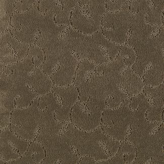 Mohawk Redefined Lichen