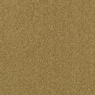 Mohawk Modern Always Curry Powder