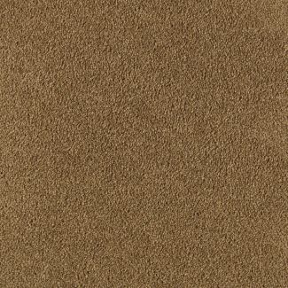 Mohawk Beautiful Destiny Barn Swallow