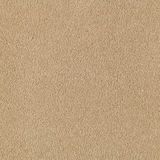 Mohawk Maison Sunnyside