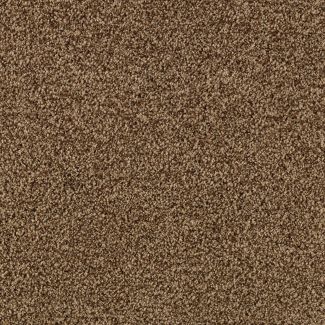 Mohawk Churchill Thoroughbred