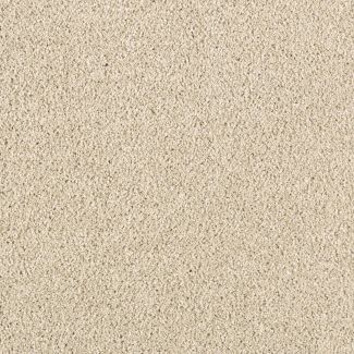 Mohawk Modern Vision Winter Wheat