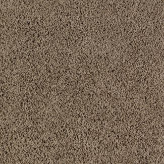 Mohawk Sassy Chic Birdseye Maple