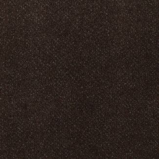 Mohawk Jazz Pointe Exotic Coffee