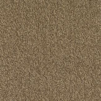 Mohawk Major Factor Sandstone