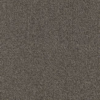 Mohawk Major Factor Titanium