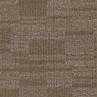 Mohawk Distinctive Appeal Enticing Texture