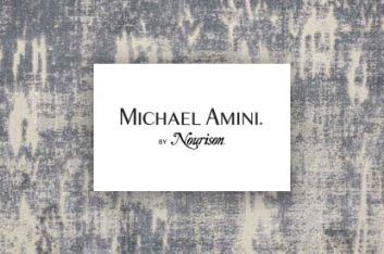 Michael Amini