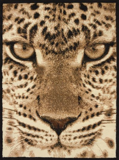 Legends Leopard Face Multi