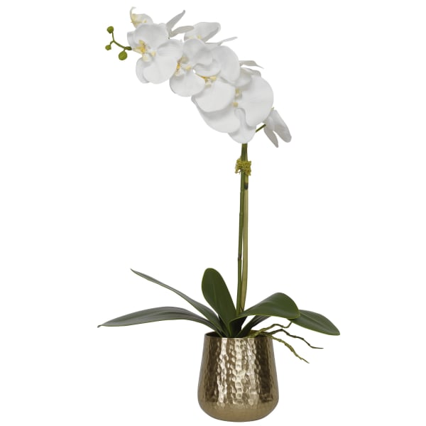 Cami Orchid - Orchid With Brass Pot - White