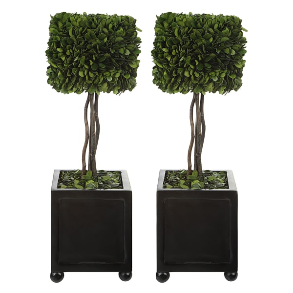 Preserved Boxwood - Square Topiaries (Set of 2) - Black