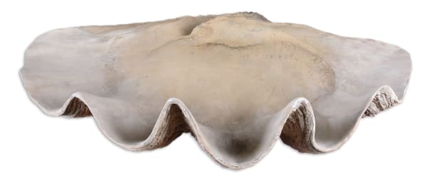 Clam - Shell Bowl - Beige