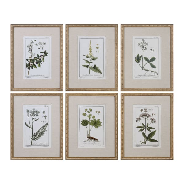 Green Floral Botanical Study - Prints (Set of 6) - Green