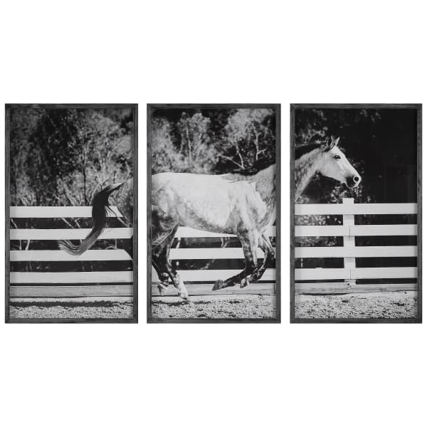 Galloping - Forward Equine Prints (Set of 3)