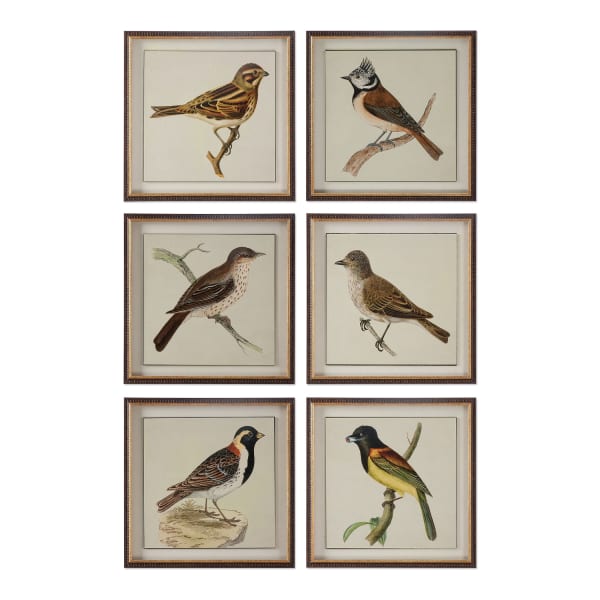 Spring Soldiers - Bird Prints (Set of 6) - Black