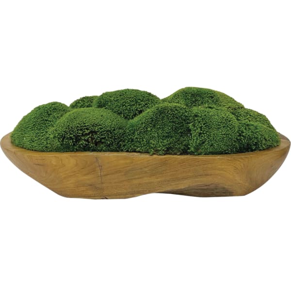 Kinsale - Moss Centerpiece - Light Brown