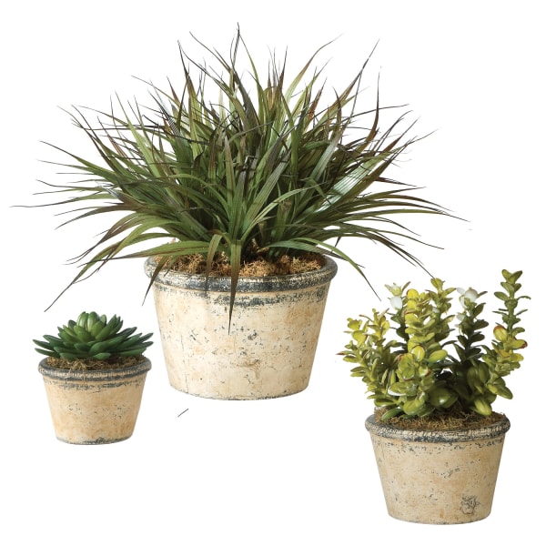 La Costa Greenery - Greenery (Set of 3) - Beige