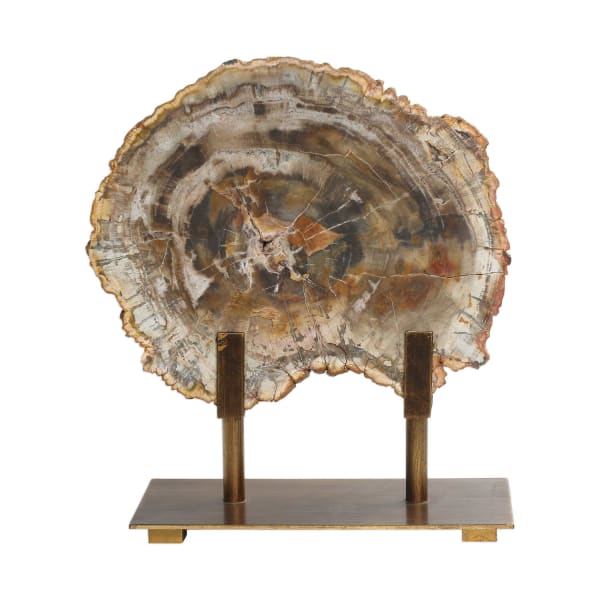 Petrified - Wood Sculpture - Bronze / Brown / Woodtone
