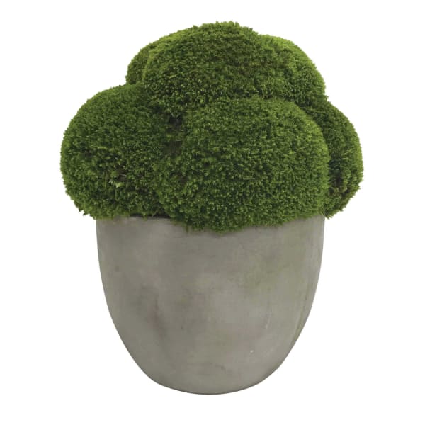 Cale - Moss Accent - Green
