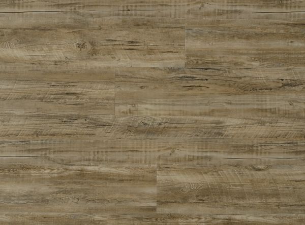 COREtec Plus 7" Plank St. Andrew's Oak Collection