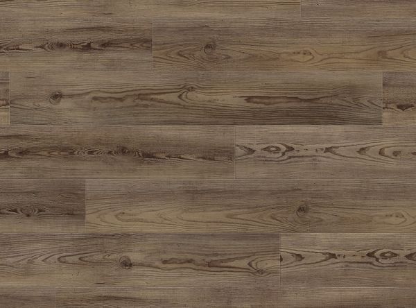 COREtec Plus Enhanced Planks Angola Pine Collection