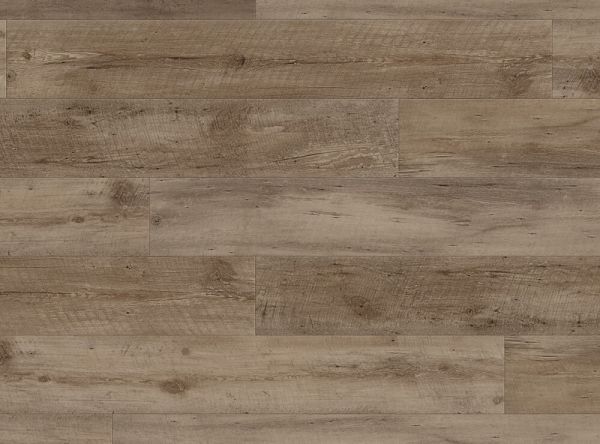 COREtec Plus Enhanced Planks Nares Oak Collection
