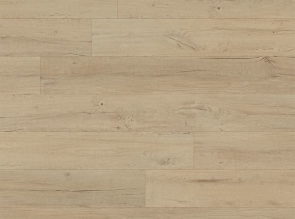 COREtec Plus Premium 7" Noble Oak Collection