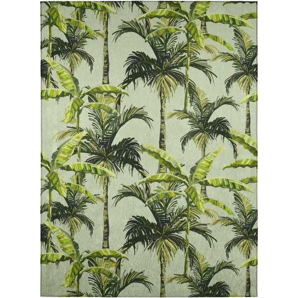 Dalyn Rugs Tropics TC10 Aloe
