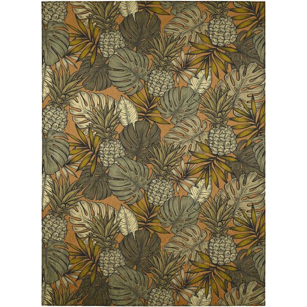 Dalyn Rugs Tropics TC11 Clay