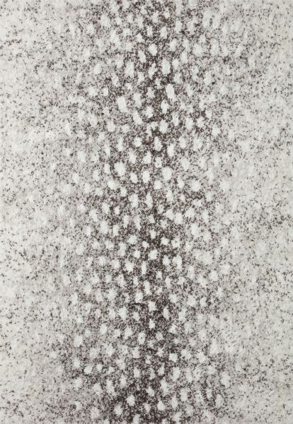 Loloi Bliss Shag BLS-01 Grey / White