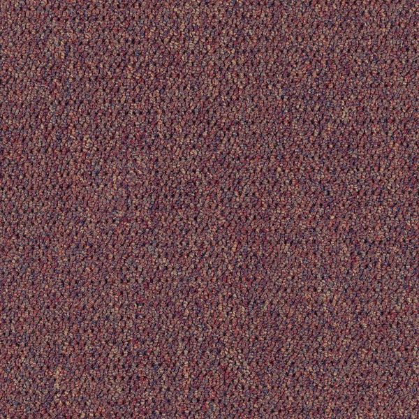 Mohawk Tuition Prisms 28 Wine