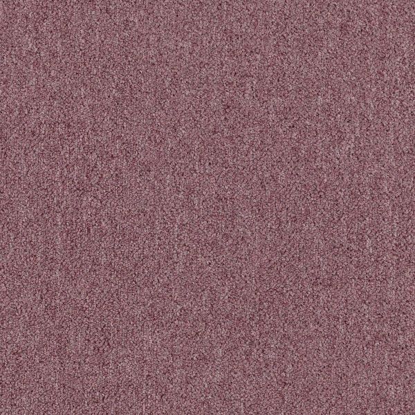 Mohawk Spartan II Plum