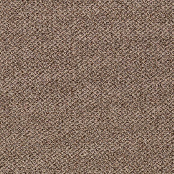 Mohawk Chex Traditional Tan Collection