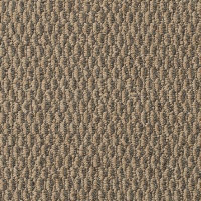 Mohawk Berkeley Lake Taupestone Collection