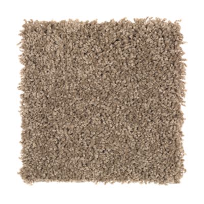 Mohawk Sophisticated Chic Cypress
