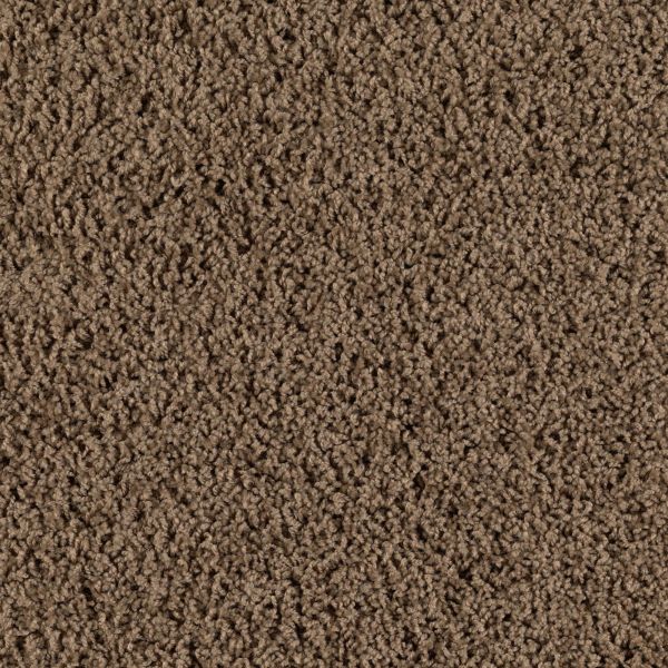 Mohawk Embraced Surface Sassafras Collection
