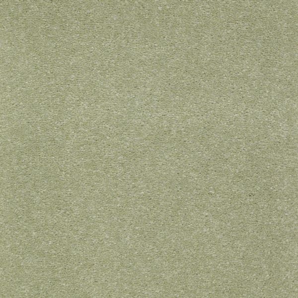 Buy Mohawk Ashwood Terrace Misty Glade from Kamal's Flooring, Rugs, and  Upholstery