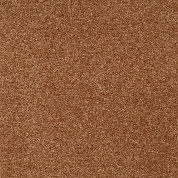 Mohawk Homeland Select Copper Penny Collection