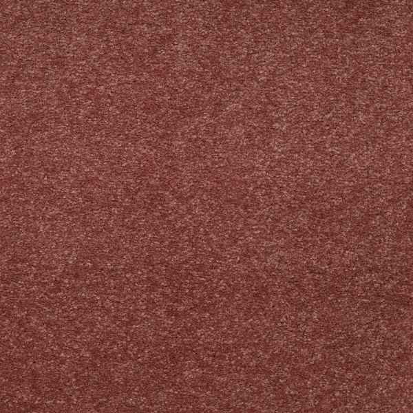 Mohawk Concorde Terrace Raspberry Dazzle Collection