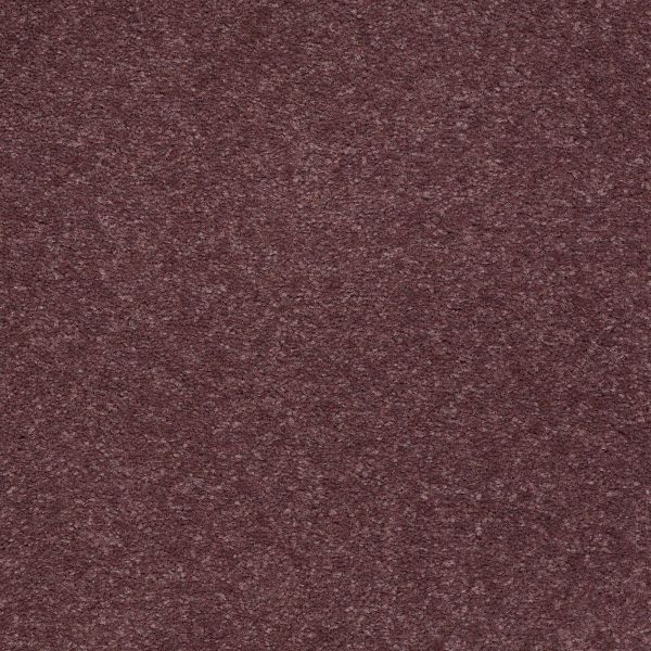 Mohawk Concorde Terrace Plum Grape