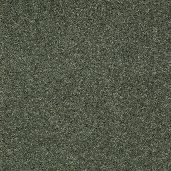 Mohawk Homeland Select Evergreen Forest Collection