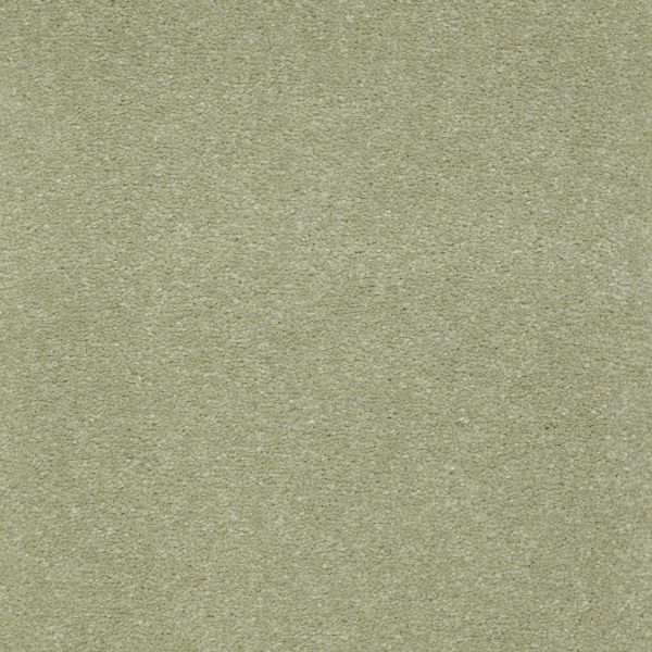 Mohawk Homeland Select Misty Glade Collection