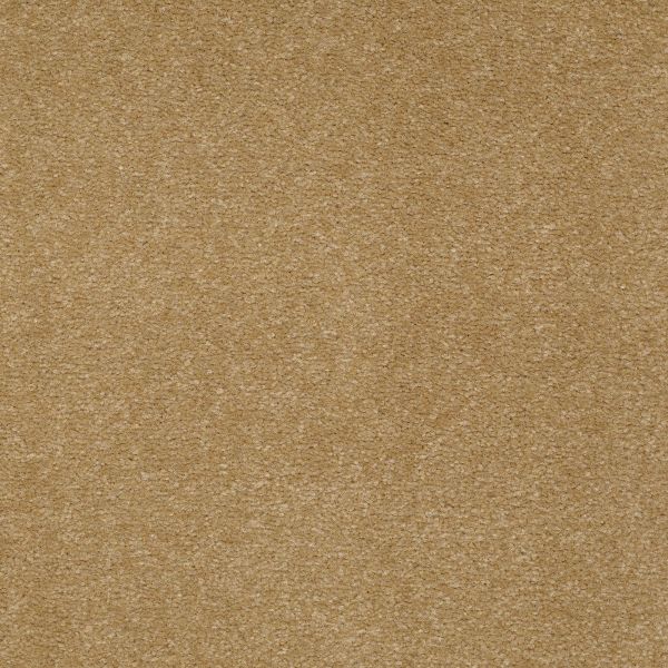 Mohawk Homeland Select Exotic Safari Collection