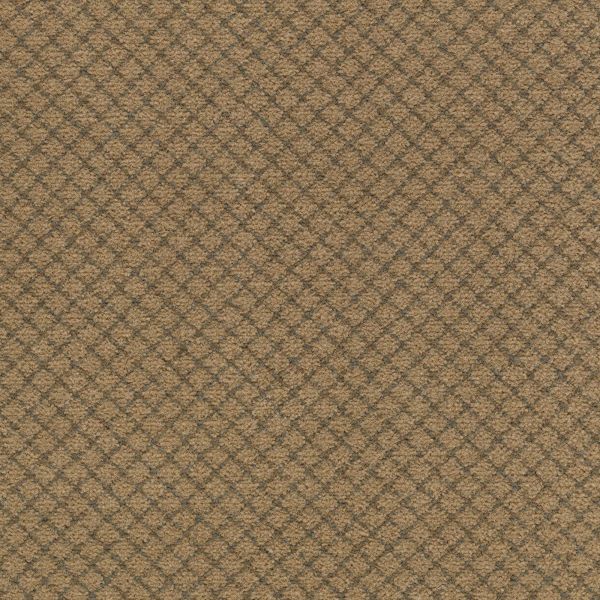 Mohawk Classic Vision Safari Plains Collection